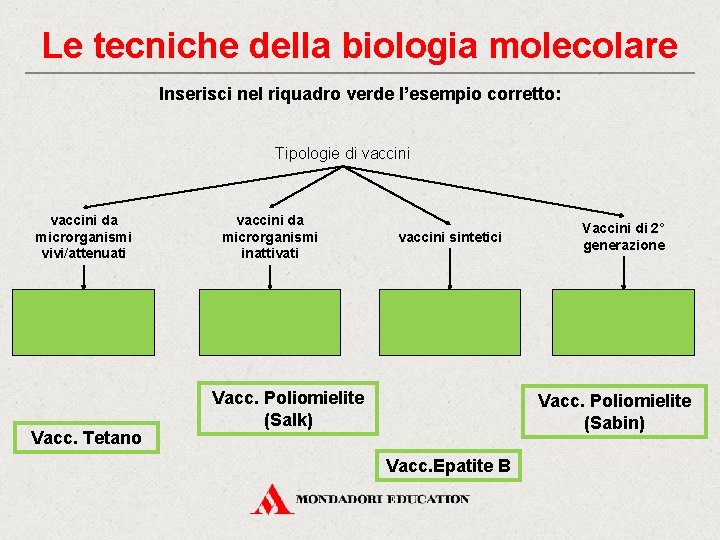 Le tecniche della biologia molecolare Inserisci nel riquadro verde l’esempio corretto: Tipologie di vaccini