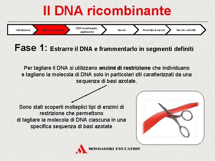 Il DNA ricombinante Introduzione DNA ricombinante applicazioni Vaccini Alcuni tipi di vaccini Vaccini: curiosità