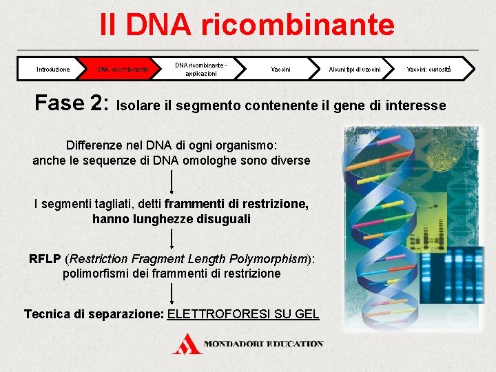 Il DNA ricombinante Introduzione DNA ricombinante applicazioni Vaccini Alcuni tipi di vaccini Vaccini: curiosità