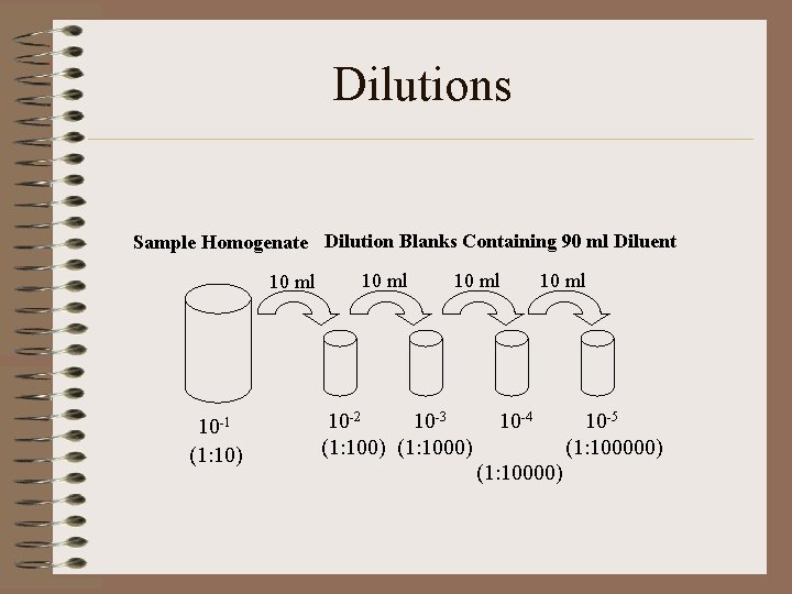 Dilutions Sample Homogenate Dilution Blanks Containing 90 ml Diluent 10 ml 10 -1 (1: