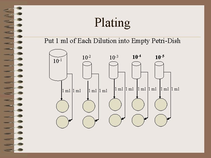 Plating Put 1 ml of Each Dilution into Empty Petri-Dish 10 -1 1 ml