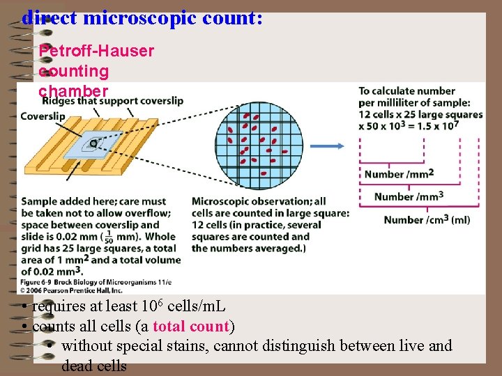 direct microscopic count: Petroff-Hauser counting chamber • requires at least 106 cells/m. L •