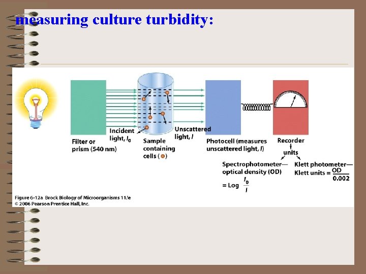measuring culture turbidity: 