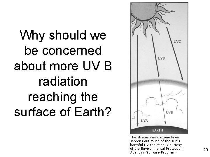 Why should we be concerned about more UV B radiation reaching the surface of