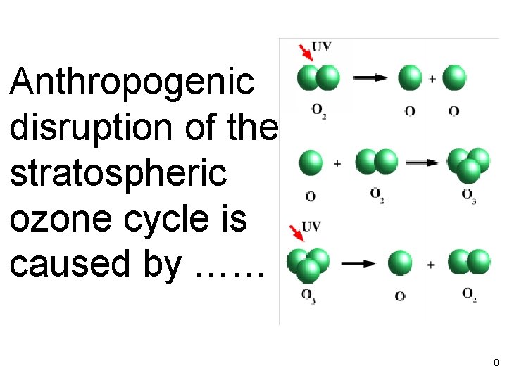 Anthropogenic disruption of the stratospheric ozone cycle is caused by …… 8 