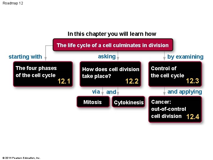 Roadmap 12 In this chapter you will learn how The life cycle of a