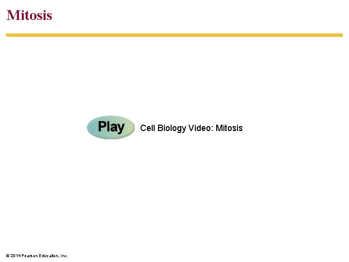 Mitosis Cell Biology Video: Mitosis © 2014 Pearson Education, Inc. 