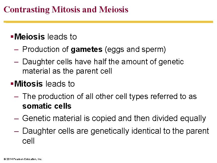 Contrasting Mitosis and Meiosis §Meiosis leads to – Production of gametes (eggs and sperm)