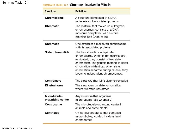 Summary Table 12. 1 © 2014 Pearson Education, Inc. 