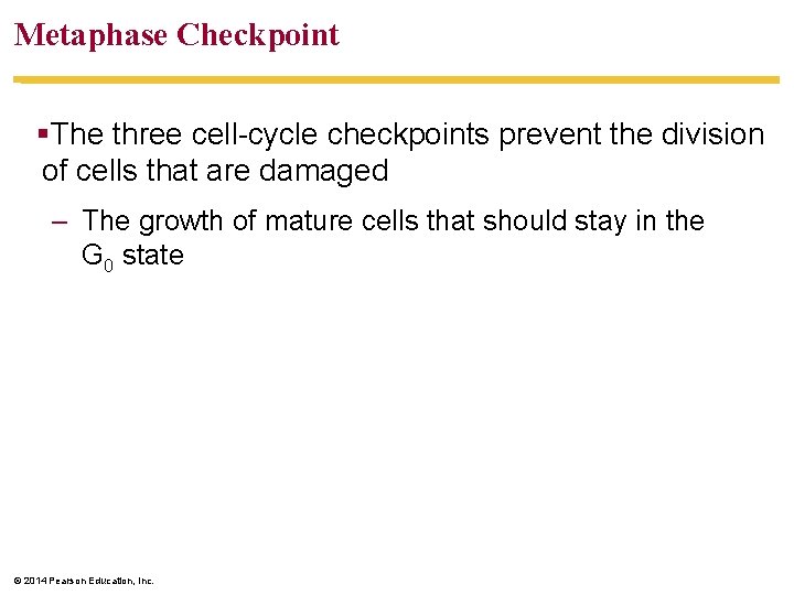 Metaphase Checkpoint §The three cell-cycle checkpoints prevent the division of cells that are damaged