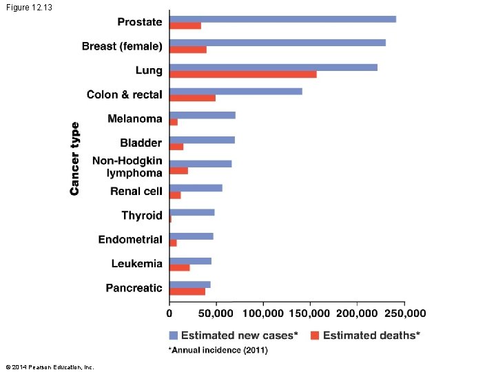 Figure 12. 13 © 2014 Pearson Education, Inc. 