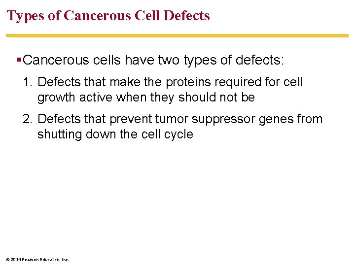 Types of Cancerous Cell Defects §Cancerous cells have two types of defects: 1. Defects