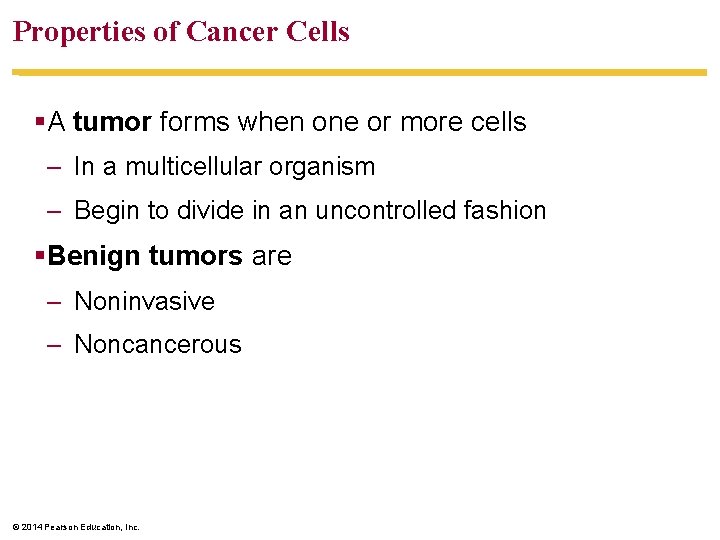 Properties of Cancer Cells §A tumor forms when one or more cells – In