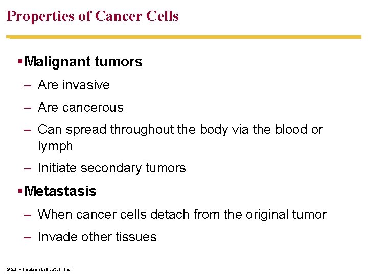 Properties of Cancer Cells §Malignant tumors – Are invasive – Are cancerous – Can
