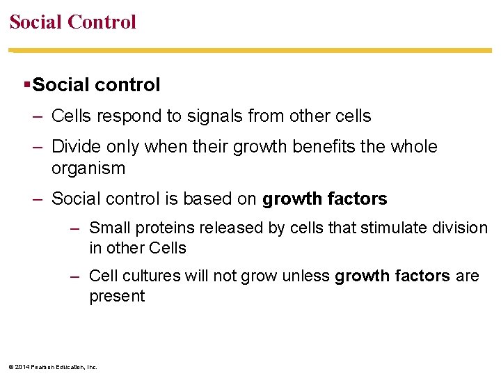 Social Control §Social control – Cells respond to signals from other cells – Divide