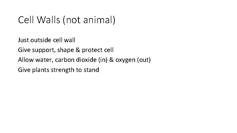 Cell Walls (not animal) Just outside cell wall Give support, shape & protect cell