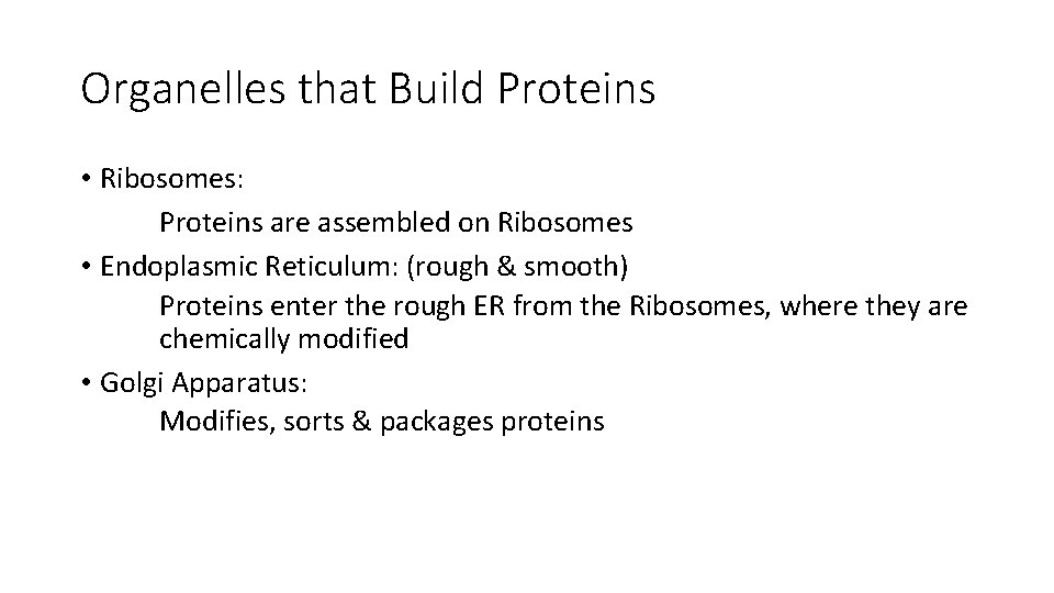 Organelles that Build Proteins • Ribosomes: Proteins are assembled on Ribosomes • Endoplasmic Reticulum: