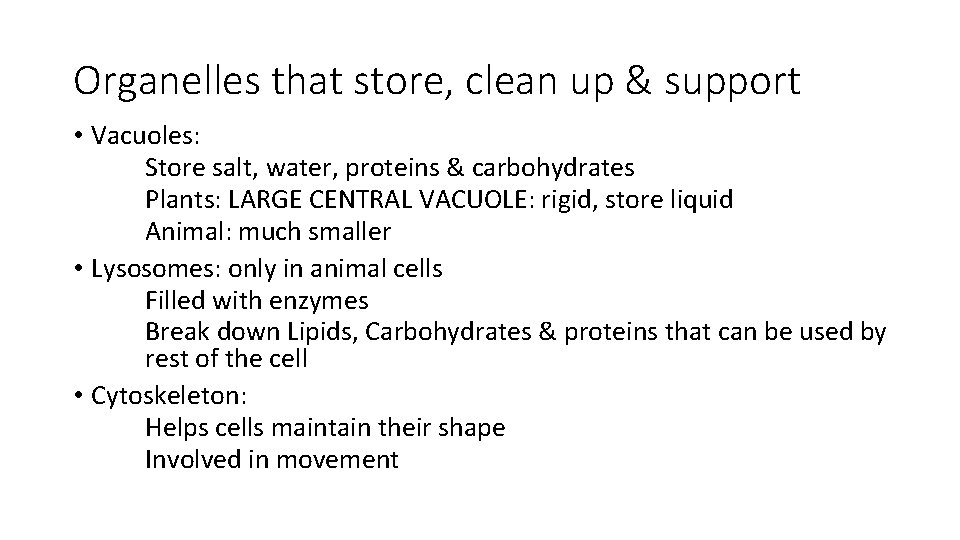 Organelles that store, clean up & support • Vacuoles: Store salt, water, proteins &