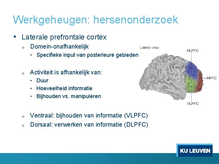 Werkgeheugen: hersenonderzoek • Laterale prefrontale cortex o Domein-onafhankelijk • Specifieke input van posterieure gebieden