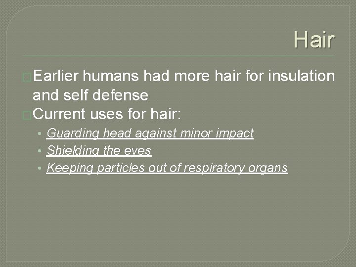 Hair �Earlier humans had more hair for insulation and self defense �Current uses for