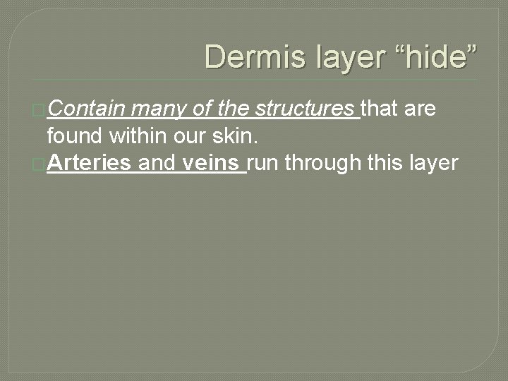 Dermis layer “hide” �Contain many of the structures that are found within our skin.