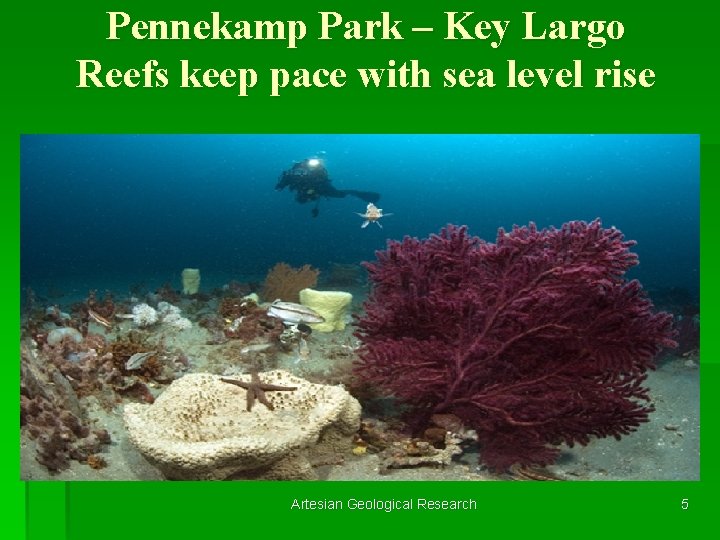 Pennekamp Park – Key Largo Reefs keep pace with sea level rise Artesian Geological