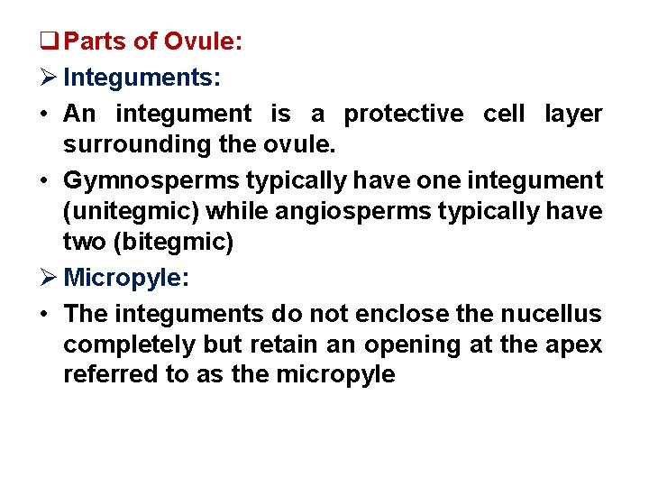 q Parts of Ovule: Ø Integuments: • An integument is a protective cell layer
