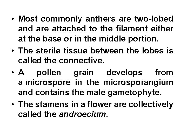  • Most commonly anthers are two lobed and are attached to the filament