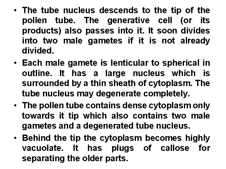  • The tube nucleus descends to the tip of the pollen tube. The