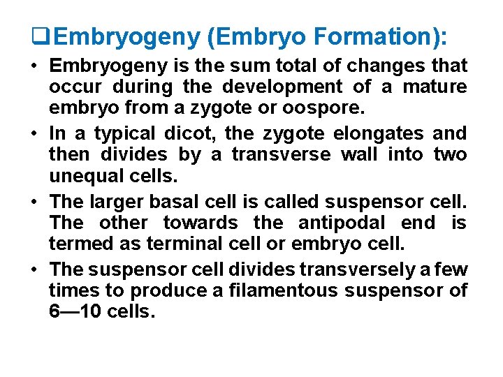 q. Embryogeny (Embryo Formation): • Embryogeny is the sum total of changes that occur