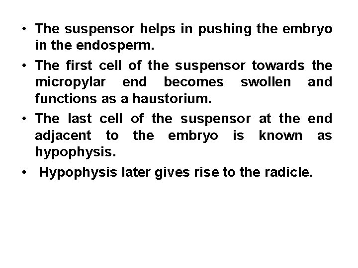  • The suspensor helps in pushing the embryo in the endosperm. • The