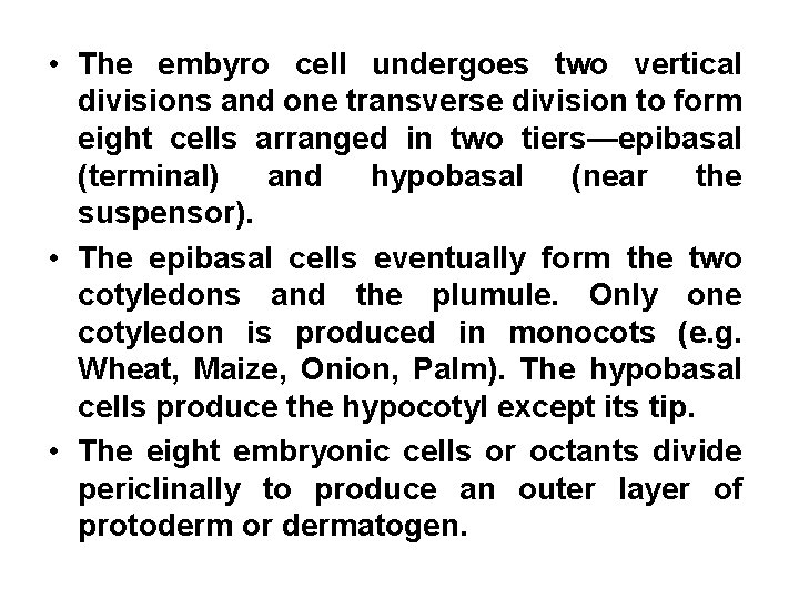  • The embyro cell undergoes two vertical divisions and one transverse division to