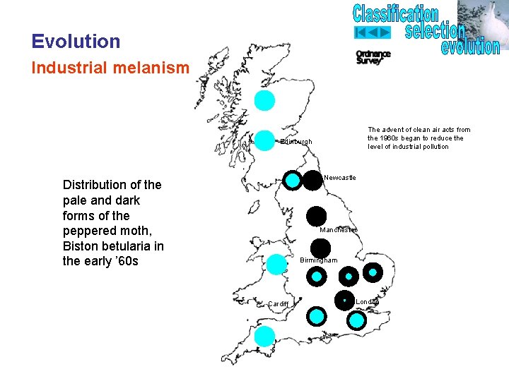 Evolution Industrial melanism The advent of clean air acts from the 1960 s began