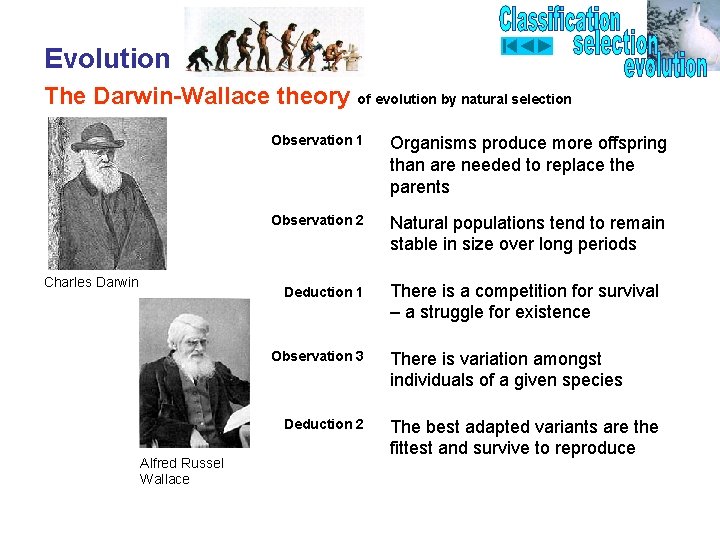 Evolution The Darwin-Wallace theory of evolution by natural selection Charles Darwin Observation 1 Organisms