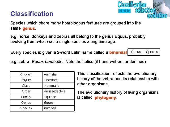Classification Species which share many homologous features are grouped into the same genus. e.