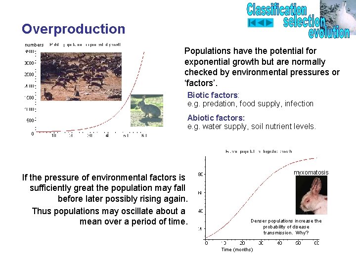 Overproduction numbers Populations have the potential for exponential growth but are normally checked by