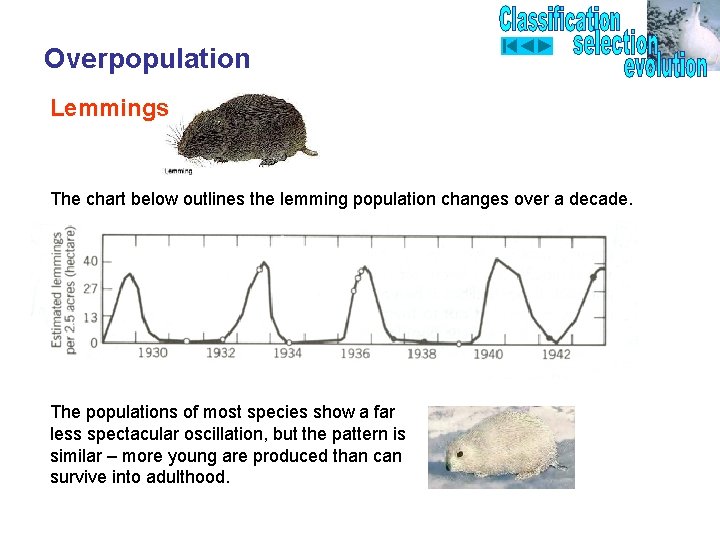 Overpopulation Lemmings The chart below outlines the lemming population changes over a decade. The