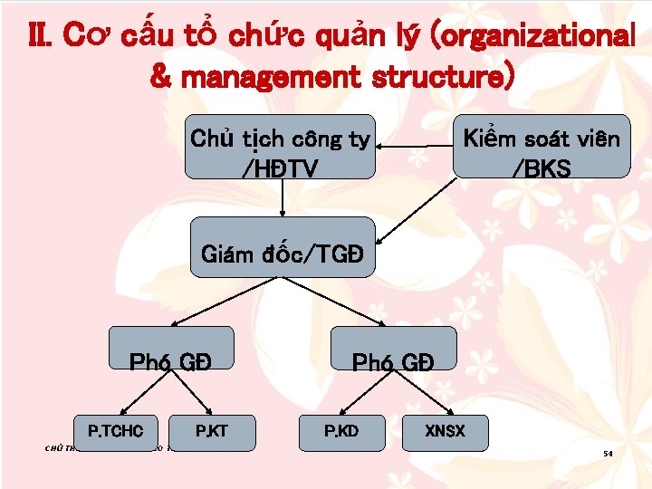 II. Cơ cấu tổ chức quản lý (organizational & management structure) Kiểm soát viên