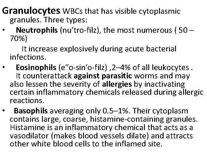 Granulocytes WBCs that has visible cytoplasmic granules. Three types: • Neutrophils (nu′tro-filz), the most