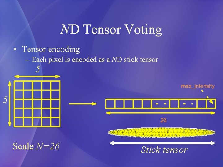 ND Tensor Voting • Tensor encoding – Each pixel is encoded as a ND