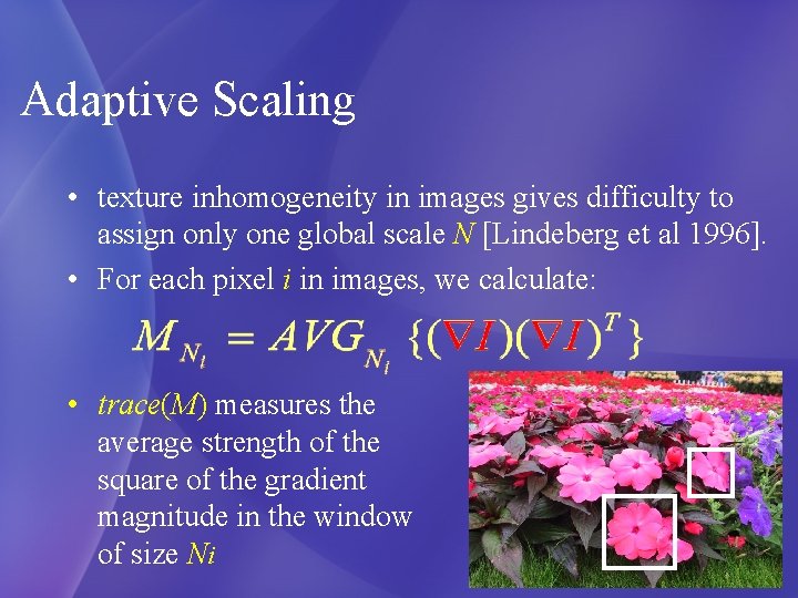 Adaptive Scaling • texture inhomogeneity in images gives difficulty to assign only one global