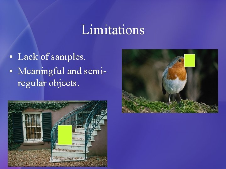 Limitations • Lack of samples. • Meaningful and semiregular objects. 