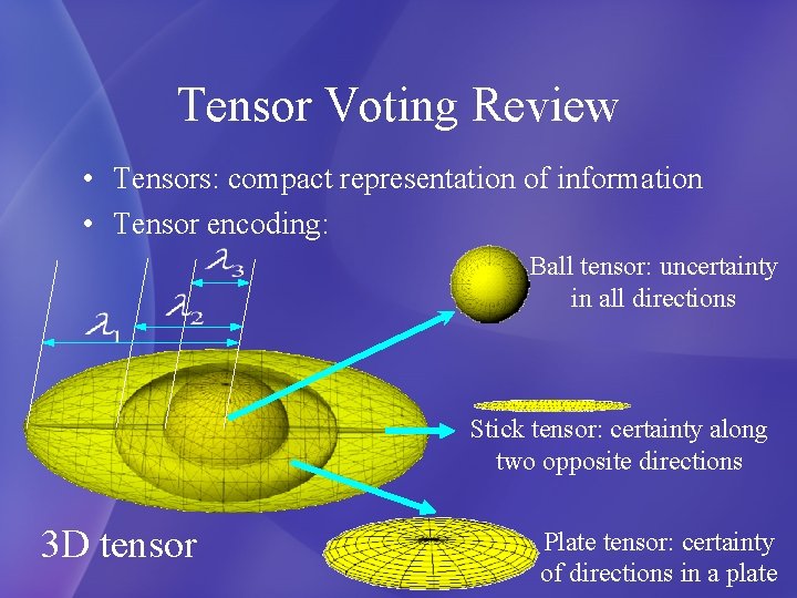 Tensor Voting Review • Tensors: compact representation of information • Tensor encoding: Ball tensor: