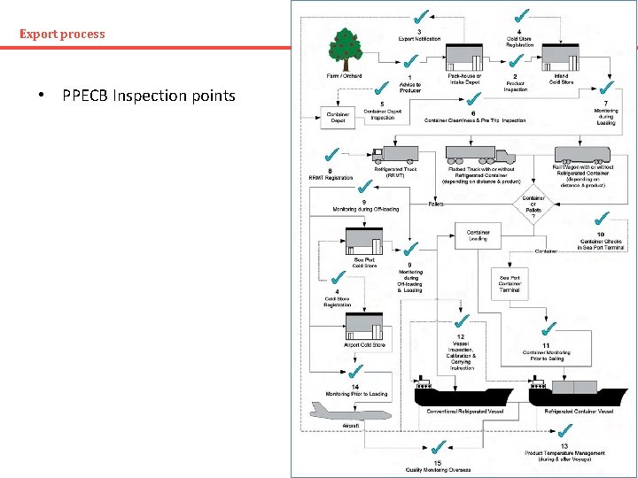 Export process • PPECB Inspection points 28 