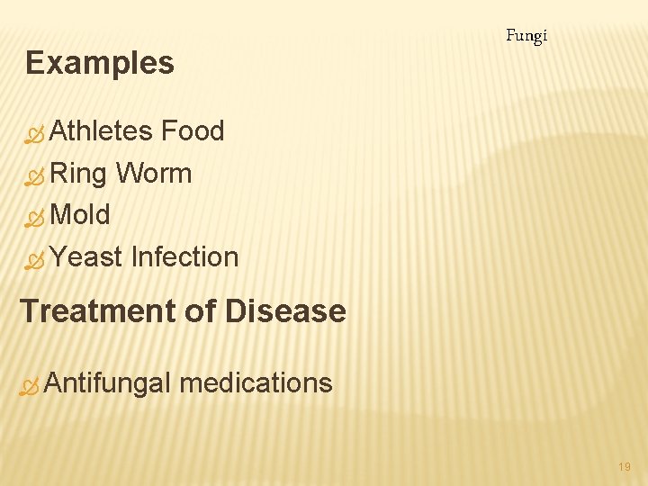 Fungi Examples Ò Athletes Food Ò Ring Worm Ò Mold Ò Yeast Infection Treatment