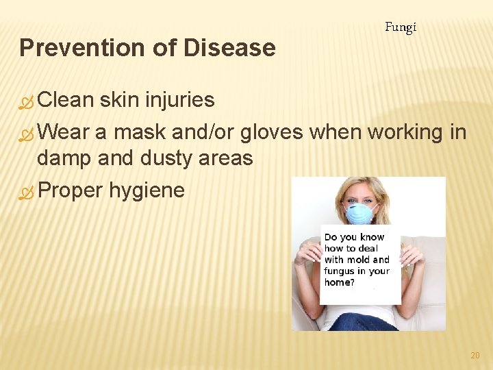 Prevention of Disease Fungi Ò Clean skin injuries Ò Wear a mask and/or gloves