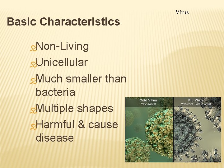 Basic Characteristics Virus ÐNon-Living ÐUnicellular ÐMuch smaller than bacteria ÐMultiple shapes ÐHarmful & cause