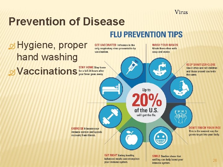 Prevention of Disease Virus Ò Hygiene, proper hand washing Ò Vaccinations 26 