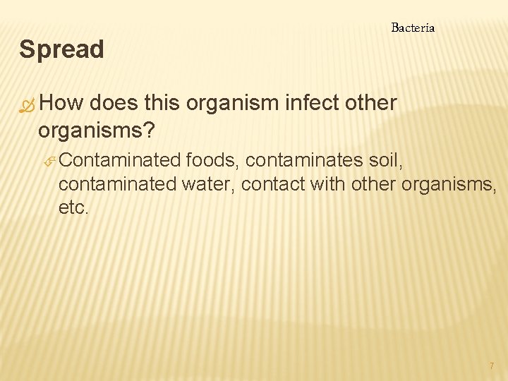Spread Bacteria Ò How does this organism infect other organisms? É Contaminated foods, contaminates
