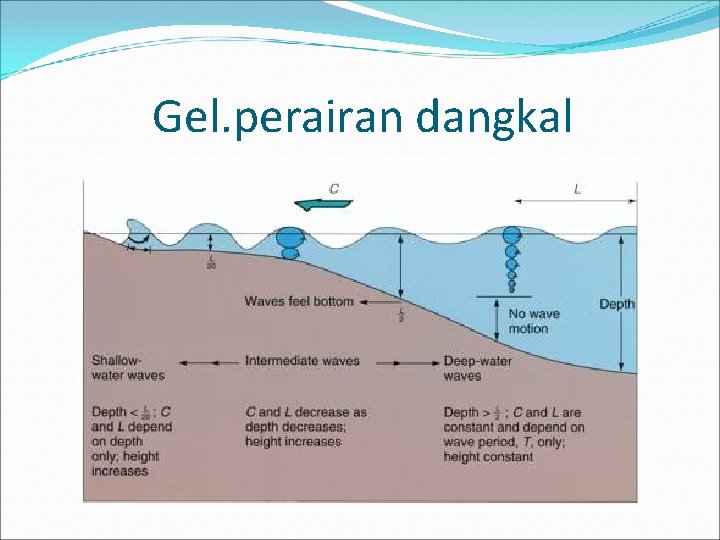 Gel. perairan dangkal 